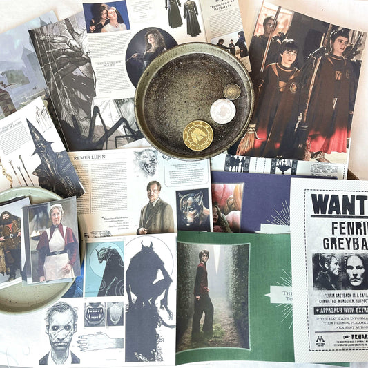 Wizard School Junk Journal Scrapbook Paper For DIY Crafts, Retro Junk Journal Background Paper Pack Supplies