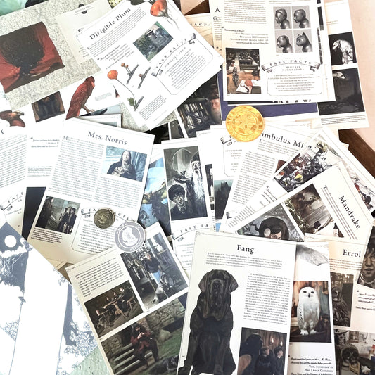 Wizard School Junk Journal Scrapbook Paper For DIY Crafts, Retro Junk Journal Background Paper Pack Supplies